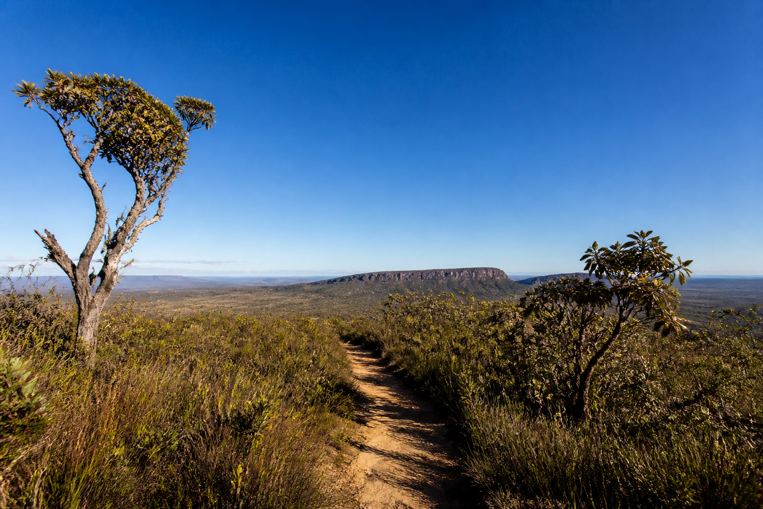 Governo Federal amplia investimentos para fortalecer o turismo sustentável no Cerrado